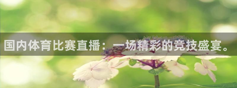 国内体育比赛直播：一场精彩的竞技盛宴。